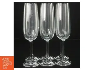 Champagneglas (str. 21 cm)