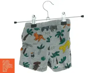Shorts fra H&M (str. 80 cm)
