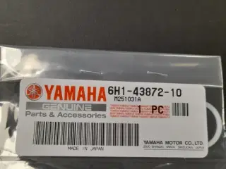 YAMAHA RING, BACK UP