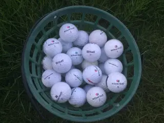 Golfbolde, Wilson 50 stk.