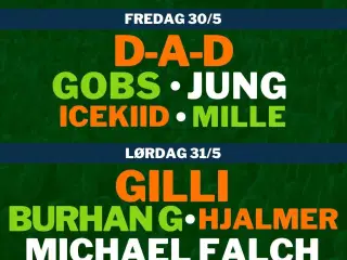 Høje Bøge Open Air 2025