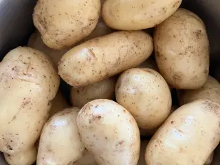 Kartofler