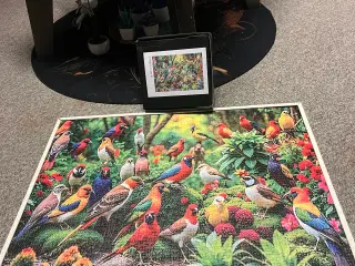 Smukt puslespil på 1000 brikker