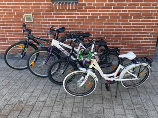 Pigecykel og Drengecykel 20-24-26