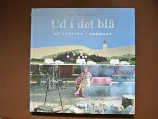 ud i det blå. på camping i danmark, Af bettina ohl