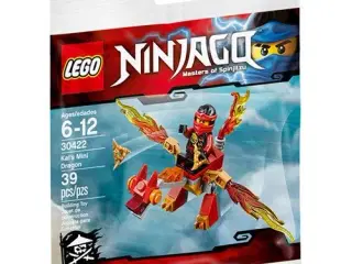 Lego Ninjago polybag - Master of Spinjitzu