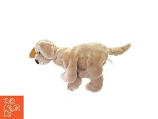 Bamse hund fra Teddy Kompaniet Bastad (str. 35 cm)