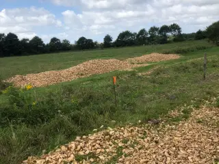 Træflis