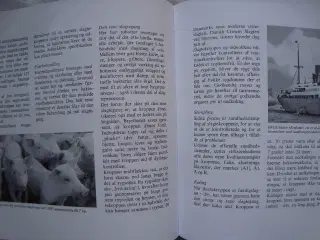Slagterierne i Esbjerg
