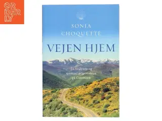 Vejen hjem : en healende og spirituel pilgrimsrejse på Caminoen af Sonia Choquette (Bog)