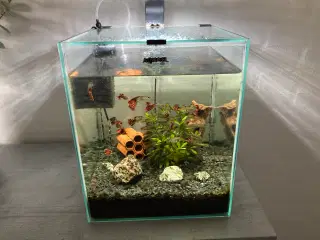 Akvarium 30 Liter
