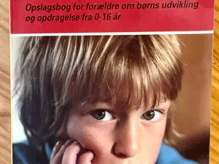 De Kære Børn 