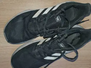 Adidas sneakers