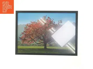 Indrammet billede af efterårstræ (str. 30x42 cm)