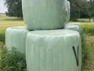Hestewrap 
