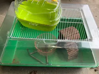 Hamster bur 2  stk