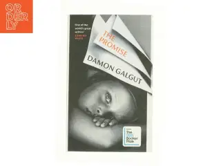 The Promise af Damon Galgut (Bog)