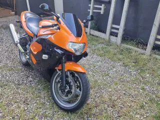 Triumph TT600 