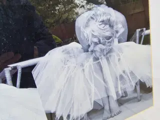 MARILYN MONROE foto 