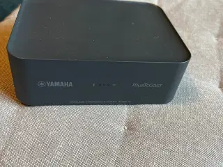 Yamaha streamer 