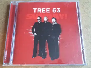 Tree63 ** Sunday 