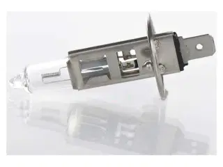 Bosch Pure Light pære H1 55W 12V