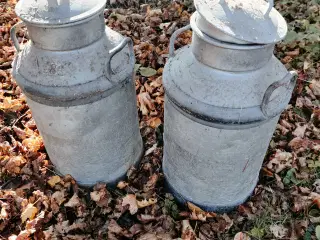 To mælke junger til salg