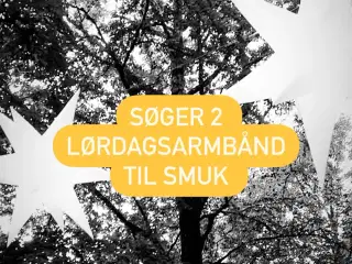 SØGER 2 LØRDAGSSARMBÅND TIL SMUKFEST
