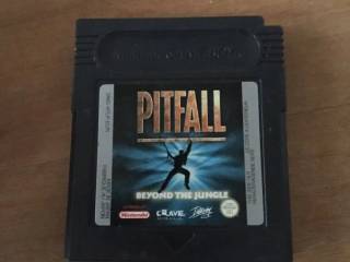 Pitfall: Beyond The Jungle