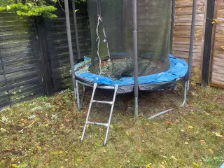 Trampoline