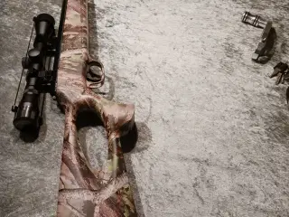 Luftgevær Air Ranger 