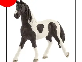 Schleich 42592a Tom's Pinto Stallion Pino (Set Exc