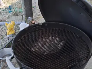 Weber  kulge  sælges  