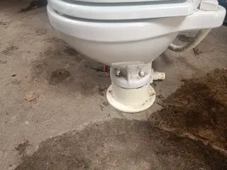 Båd toilet 
