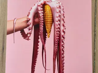 Plakat pink blæksprutte