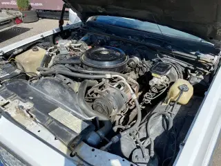 El Camino Conquista