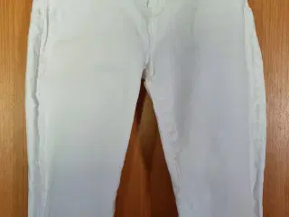 Capribukser 