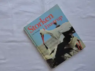 Storken i Frøstrup  :