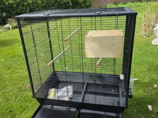 Fuglebur