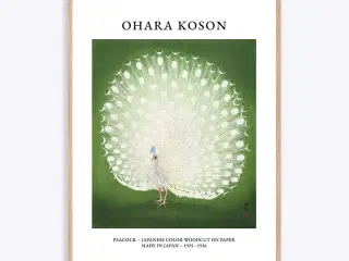 Japansk Plakat Ohara Koson 50x70