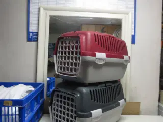 Plastic Bokse til Kat-hund