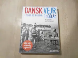 Bog - Dansk vejr i 100 år i tekst og billeder