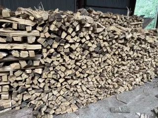 Tørt Løvbrænde sælges savet og kløvet efter ønske