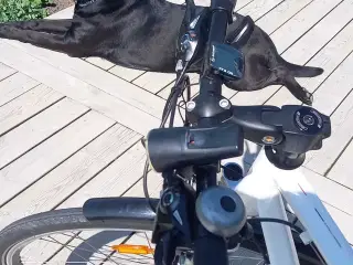 Peugeot cykel 