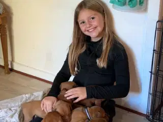 7/8  ddb - 1/8 Presa Canario