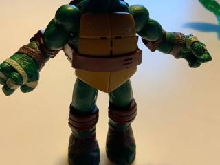 Ninja Turtle