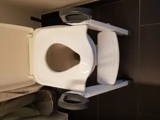 Toiletsæde med trappe - hvid
