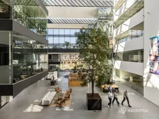 Mikado House – alt det medarbejderne ønsker sig under samme tag