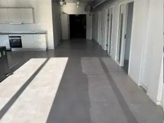 Lejemål fra 20m2- 100m2 med Fælles te køkken og toiletter.