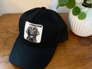 Kasket